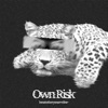 Own Risk - Single