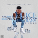 Ice On My Baby (Remix) by Yung Bleu