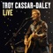 Bird on a Wire (feat. Jimmy Barnes) - Troy Cassar-Daley lyrics