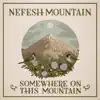 Stream & download Somewhere On This Mountain (feat. Jerry Douglas) - Single