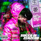 Succo Di Zenzero artwork