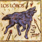 Los Lobos - A Matter of Time
