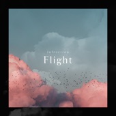 Flight artwork