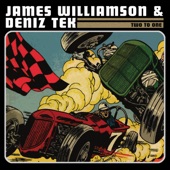 James Williamson,Deniz Tek - Stable