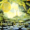 Dream of Fairies & Angels