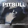 Stream & download I Am Armando