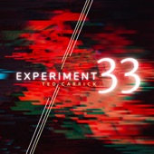 Experiment 33 artwork