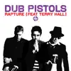 Rapture (feat. Terry Hall) album lyrics, reviews, download
