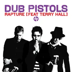 Rapture (feat. Terry Hall) by Dub Pistols album reviews, ratings, credits