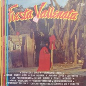 Fiesta Vallenata vol. 15 1989 artwork