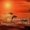Evergreen Tunes, Vol. 4