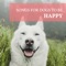 Relax My Dog - Music for Dogs Collective lyrics