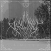 Aimless - Single