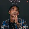 Voices album lyrics, reviews, download