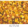 Autum