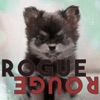 Rogue Rouge - EP