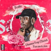 Vlaamse Trap Muziek (Tien Om Te Zien) artwork