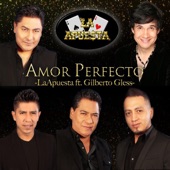 Amor Perfecto (feat. Gilberto Gless) artwork