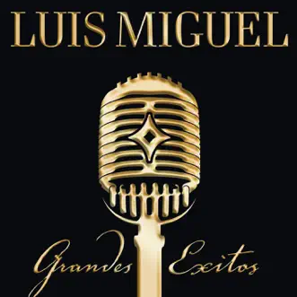 Ahora Te Puedes Marchar by Luis Miguel song reviws
