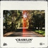 Crawlin' - Single