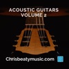 Acoustic Guitars Volume 2