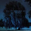 Jamie Leonhart - Willow Weep For Me
