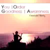 You, Order, Goodness, Awareness album lyrics, reviews, download