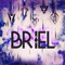 Perfect Nightmare - Briel lyrics