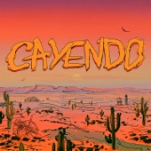 Cayendo (feat. дора) artwork