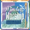 Winds of Worship, Vol. 7 (Live from Brownsville)