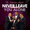 Never Leave You Alone - Single