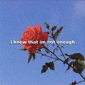 I Know That Im Not Enough artwork