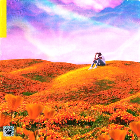 Cover artwork for The Light