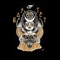 Transparency - Bastet lyrics