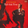 オリジナル曲｜Tall Oak Tree