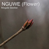 Nguwe (Flower) artwork