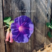 Morning Glory artwork