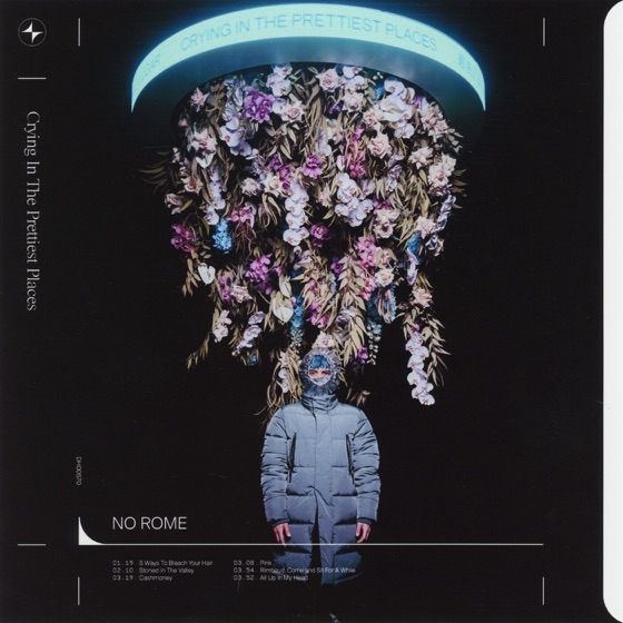Cover artwork for Pink