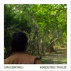 Wonderstruck Traveler - Single