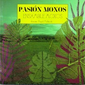 Pasión de Moxos artwork