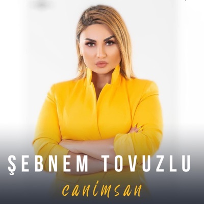 Səbnəm Tovuzlu Lyrics Playlists Videos Shazam