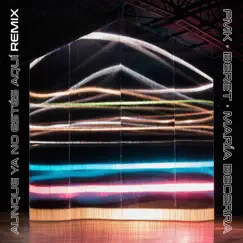 AYNEA REMIX - Single by FMK, Maria Becerra & Beret album reviews, ratings, credits