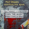 Own the Night (Pedro Carrilho Radio Mix) - Single