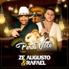 Perdi Você - Single