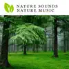 Nature Sounds Nature Music album lyrics, reviews, download