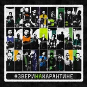 Звери на карантине artwork