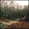 Through the Trees - Sectioned lyrics