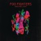 Back & Forth - Foo Fighters lyrics