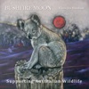 Bushfire Moon - Single