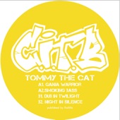 Cat in the Bag 006 - EP artwork
